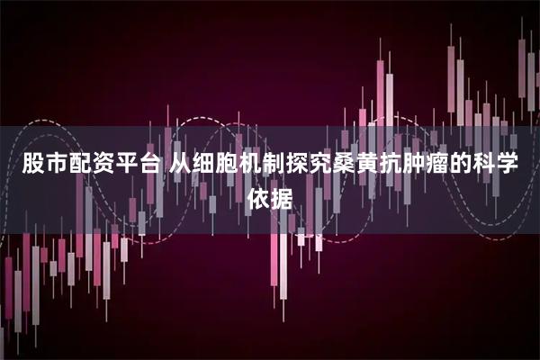股市配资平台 从细胞机制探究桑黄抗肿瘤的科学依据