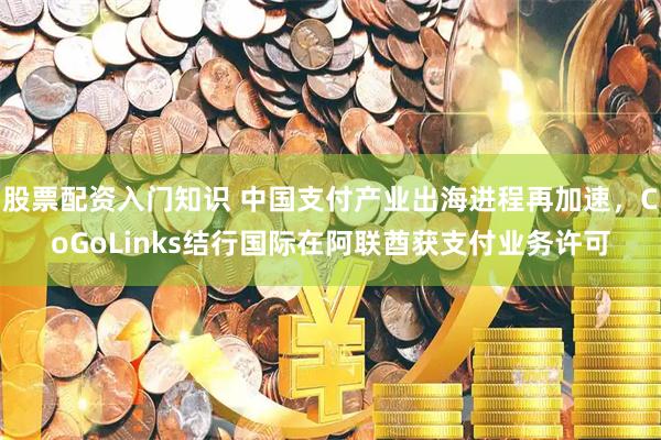 股票配资入门知识 中国支付产业出海进程再加速，CoGoLinks结行国际在阿联酋获支付业务许可